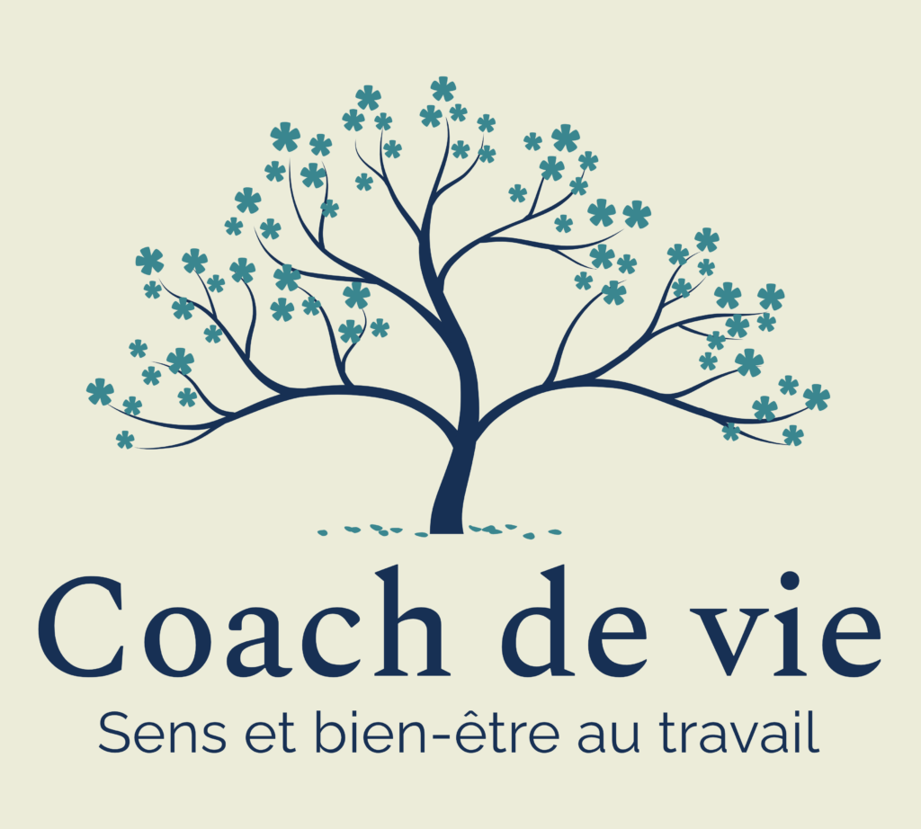 coach de vie visio développement personnel