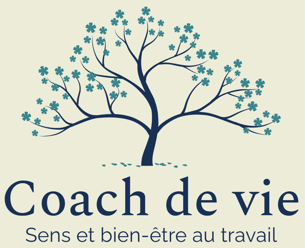 coach de vie visio développement personnel