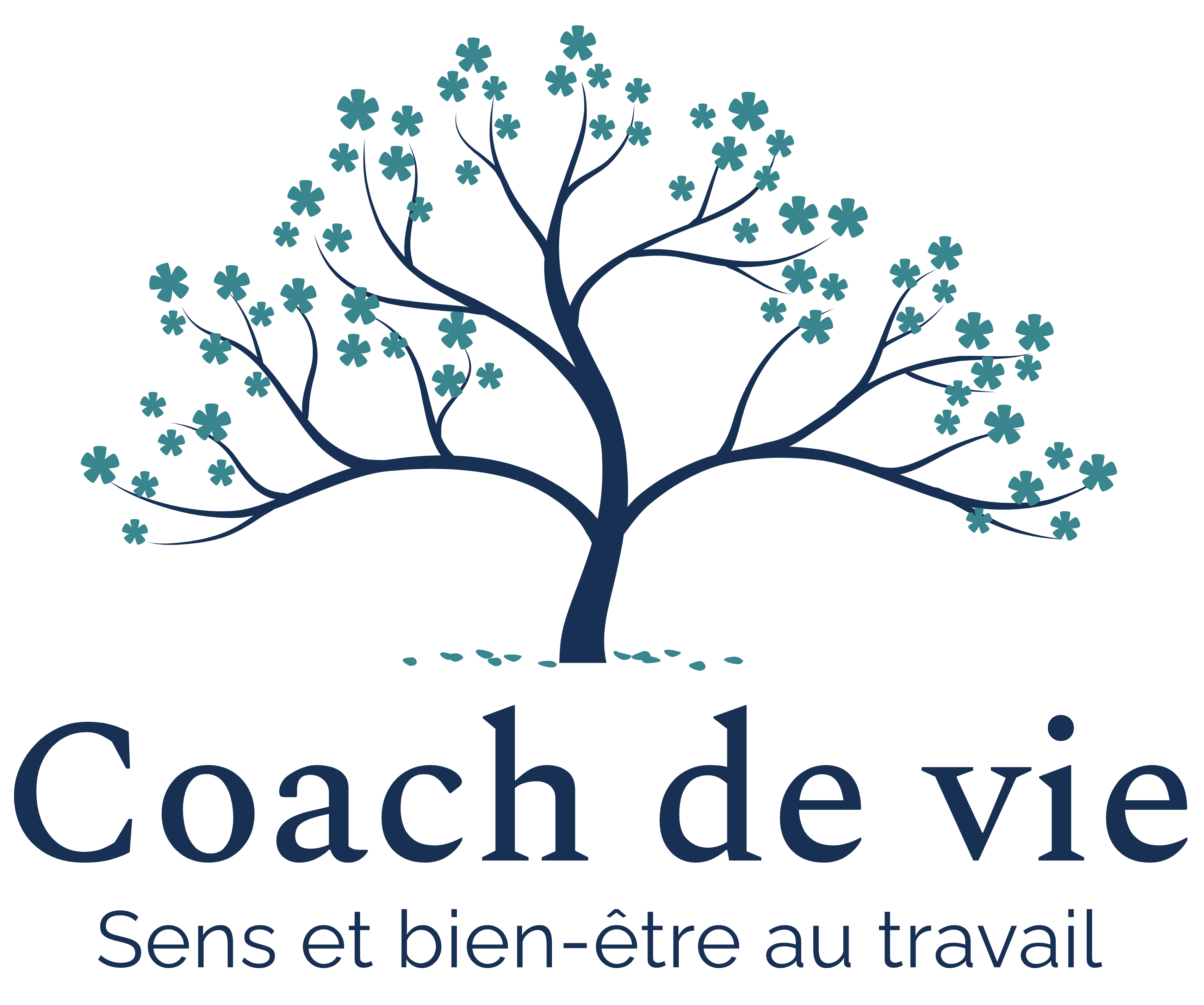 coach de vie; développement personnel, visio